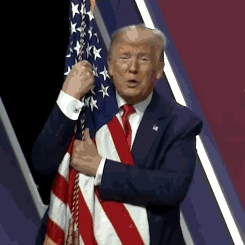 giphy.webp?cid=6c09b952a65af9c2ea791e111