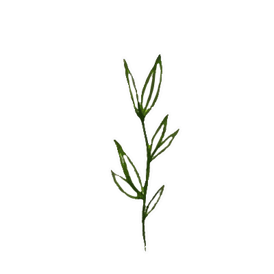 Summer Sticker
