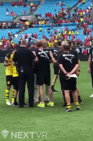 Borussia Dortmund Selfie GIF by Storyful
