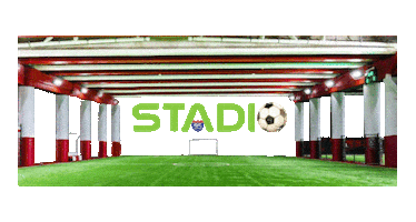 Stadio Soccer Sticker