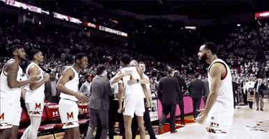 High Five University Of Maryland GIF by Maryland Terrapins