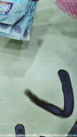 Car Parts GIF by DRIFT HQ