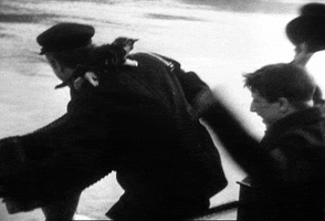 jean vigo this guy is living my dream hes playing the accordion with a kitten on his back. fantastic. GIF by Maudit