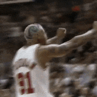 Chicago Bulls Reaction GIF by NBA