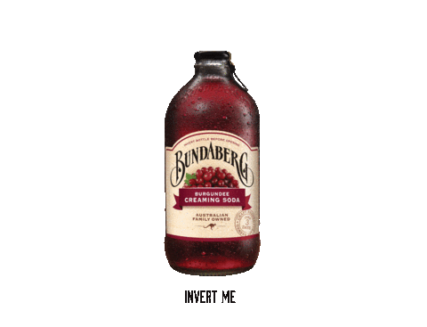 Bundaberg Burgundee Creaming Soda 375ml X 12 Cold Beverages