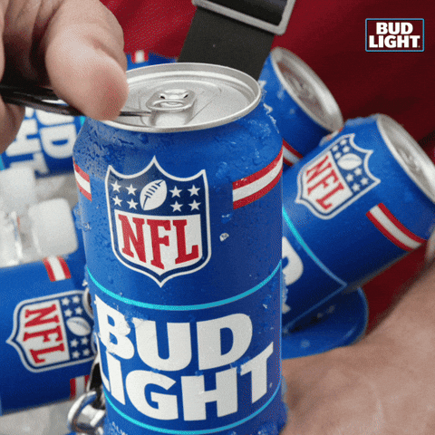Beer GIF by Bud Light