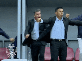 Emfc GIF