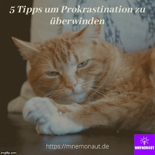Prokrastination GIF