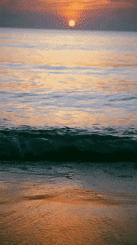 goldenwaymediafilms-hello-august-happy-USnEXYLZaZuEwrjHeN