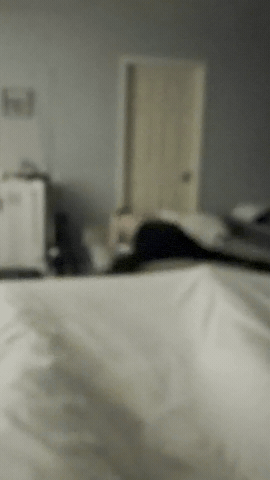 Sloppyjoe GIF
