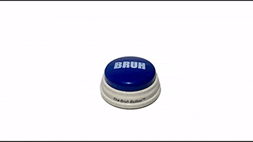 The Bruh Button GIF
