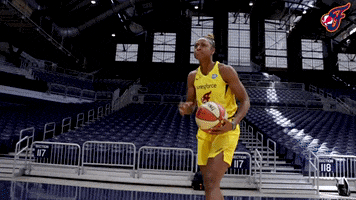 Shoot Your Shot Wnba GIF by Indiana Fever