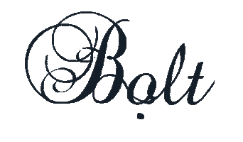 Bolcik Sticker by bolt_poland