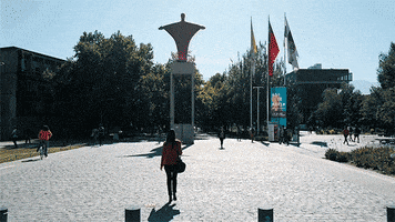 FcoEsc GIF