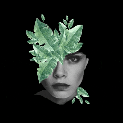 Trip GIF