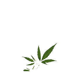 BioBloom Sticker