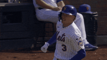 Celebrate Home Run GIF by New York Mets