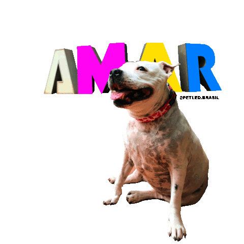 Style Pet Sticker by PETLED