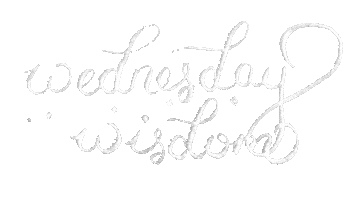 Wednesday Wisdom Sticker by Studio 78