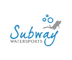 Mayan Princess Sticker