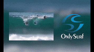 Onlysurf crowd only barrel surfista GIF