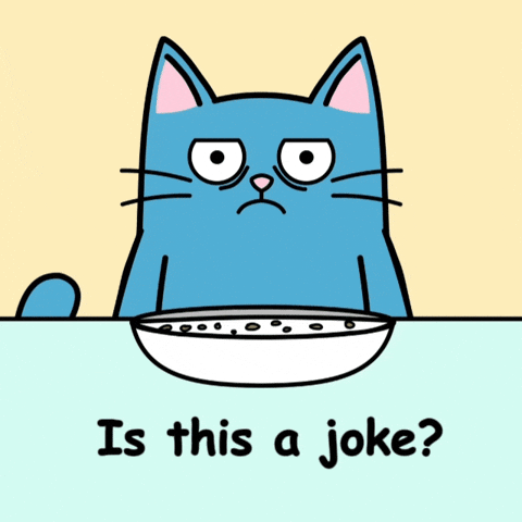 Blue Cat Disbelief GIF