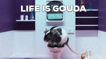 Happy Life Is Good GIF by CANAL+