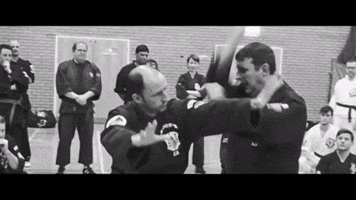Self Defense Fighting GIF by Flaming Fist Kenpo Germany - empty hands e.V.