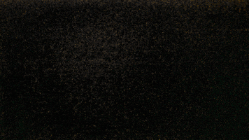 vvnieuwerkerk GIF