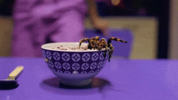 200.gif?cid=fc005b08ae2801c9838630e9fdf135fc1a5e8e3686fcc555&rid=200.gif&ct=g