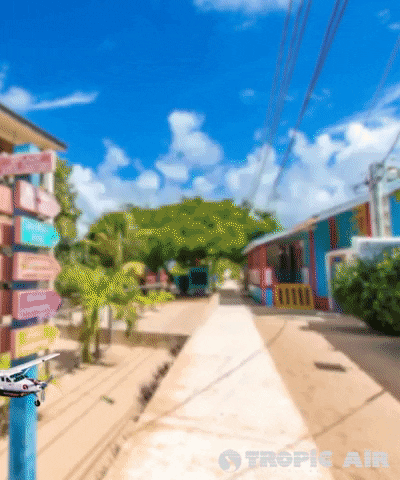 Airline Placencia GIF by Tropic Air Belize