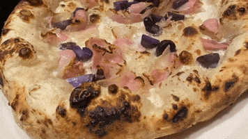 Francesco GIF