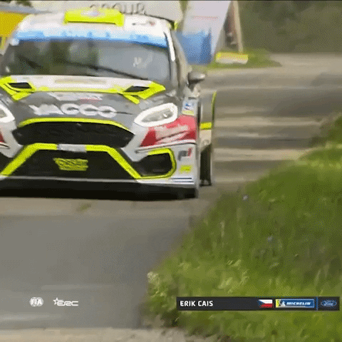 Driving Never Give Up GIF by FIA European Rally Championship