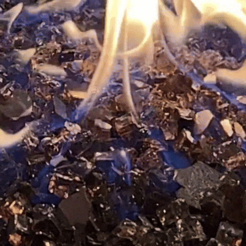 35mmSnaps GIF