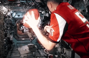 Super Bowl Football GIF by Storyful