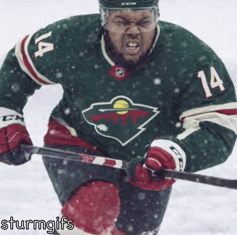 Minnesota Wild Hockey GIF