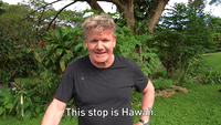 This Stop Is Hawaii