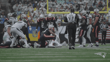 Nfl Pats GIF by New England Patriots