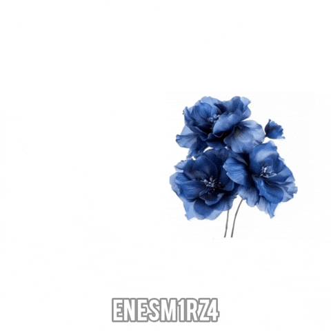 Enesm1Rz4 GIF