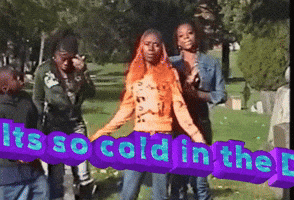 Its So Cold In The D GIF