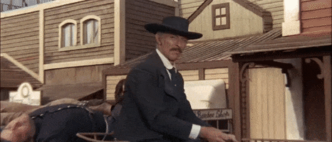 Cowboy GIF
