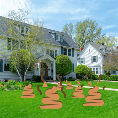 DoodyCalls Pet Waste Management GIF