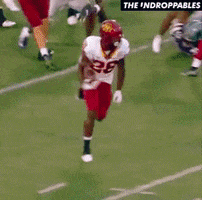 Davante-adams GIFs - Get the best GIF on GIPHY