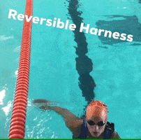 Reversible Harness GIF