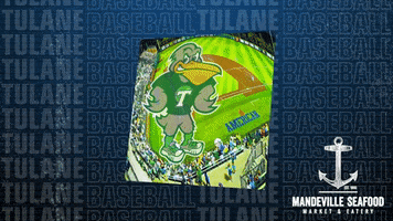 Tulane Green Wave Stolen Base GIF by GreenWave