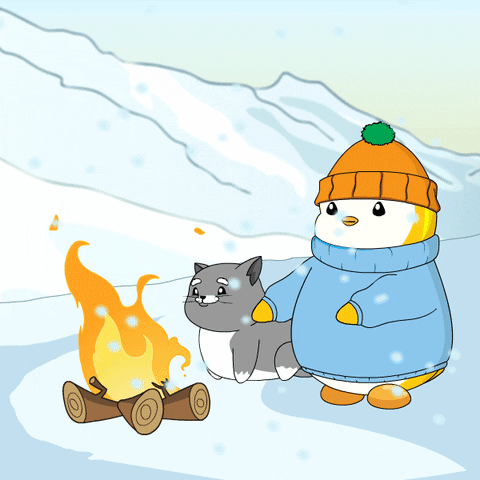 Cold Weather Cat GIF by Pudgy Penguins
