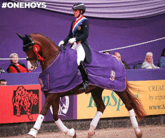 Sport Jumping GIF by Horse of the Year Show