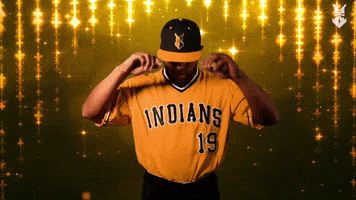Minor League Baseball GIF by Indianapolis Indians