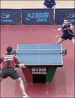 table tennis win GIF