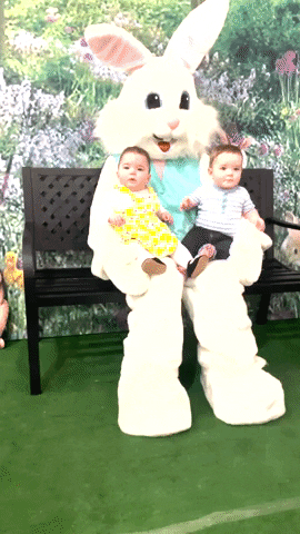 Fail Easter Bunny GIF by Storyful